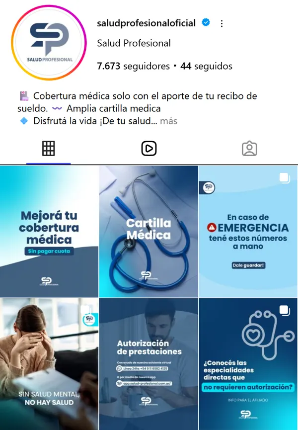 Perfil de Instagram de Salud Profesional